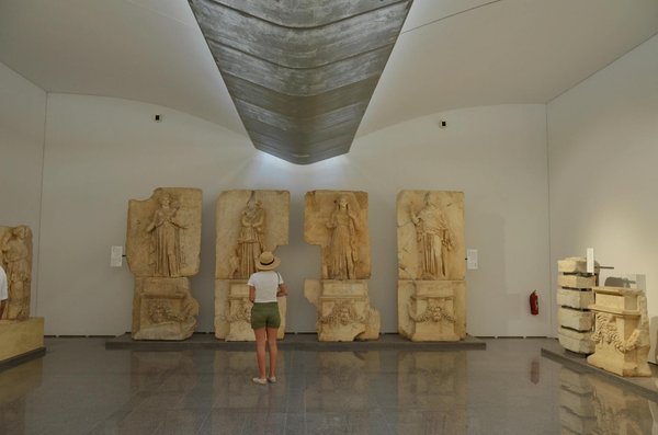 Les Conséquences Dévastatrices du Bruit sur le Bien-Être des Animaux